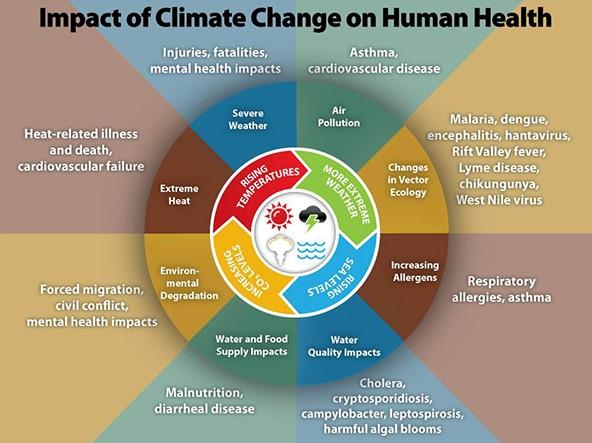 A wheel describing the impacts of climate change on human health.