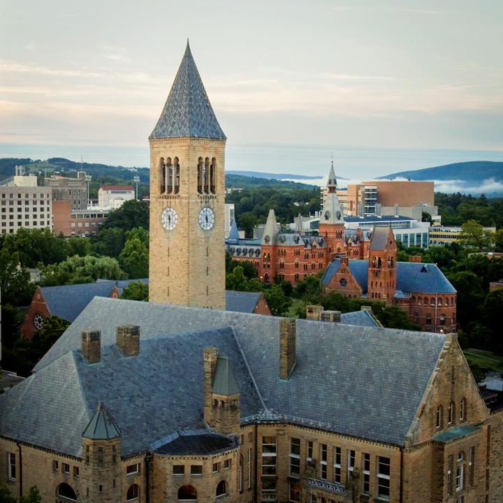 Cornell University Picture