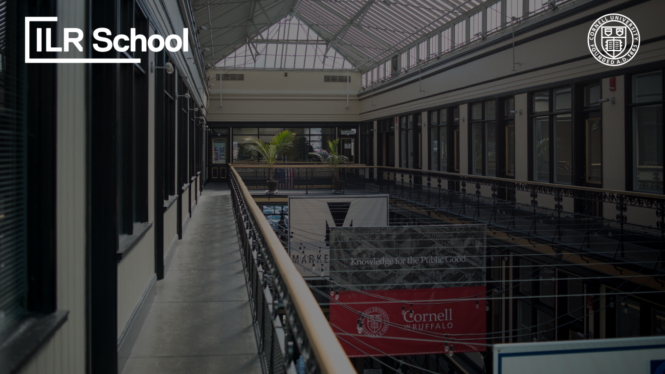 Virtual Background - Buffalo