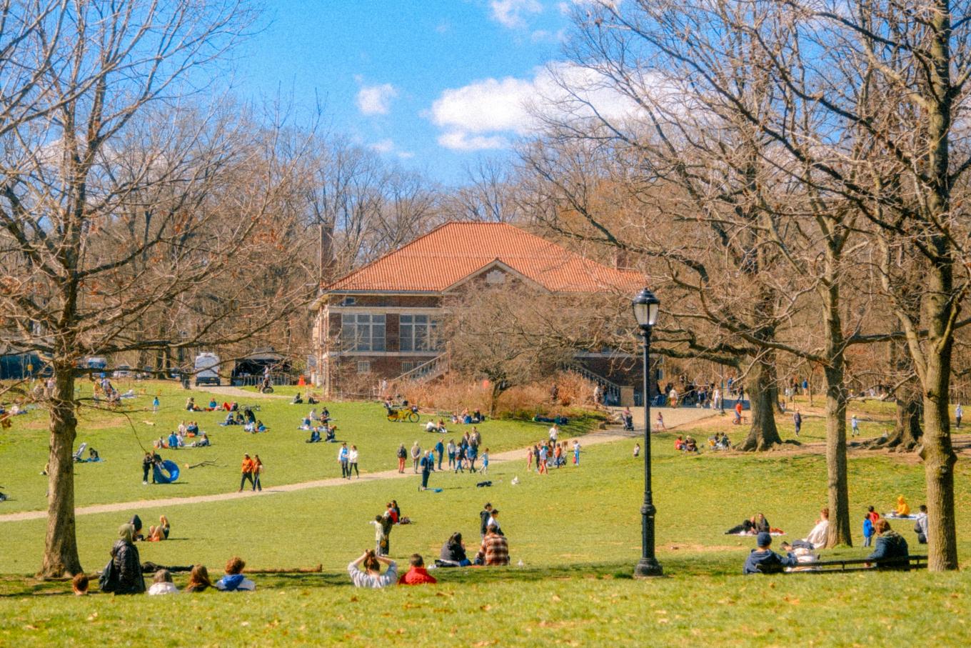 Group of people lounging on expansive green grass in Prospect Park