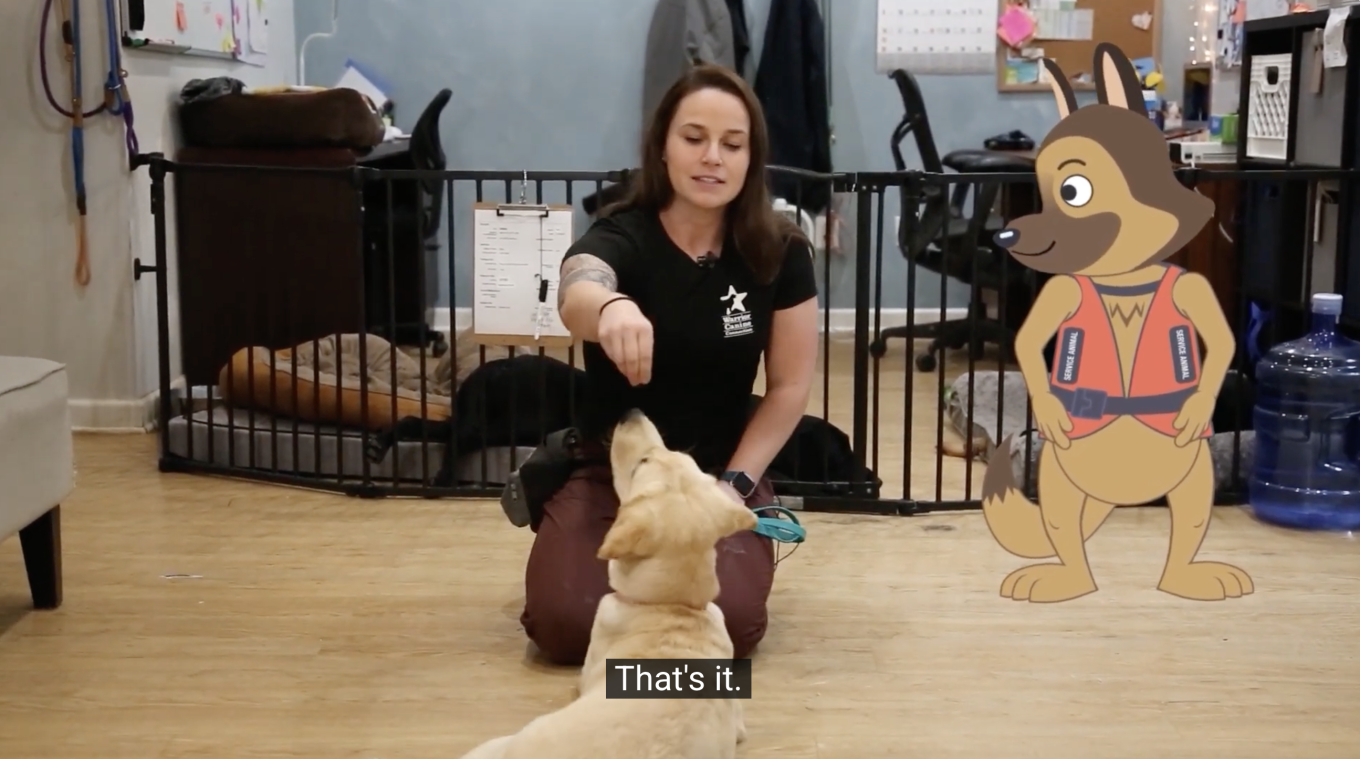 Video frame of a golden Labrador trainee dog receiving a treat from a human trainer, next to Spike the cartoon service dog. A closed-caption says, “That’s it.”