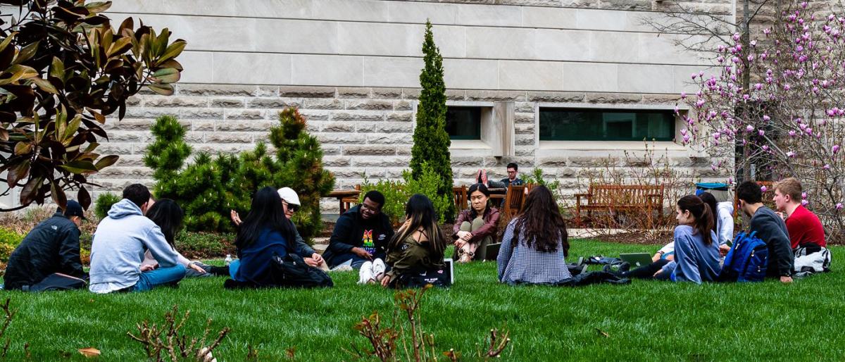 Students sitting on the grass in ILR's lower courtyard