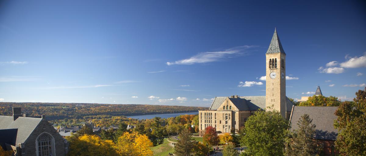 clock tower aka mgraw tower in fall