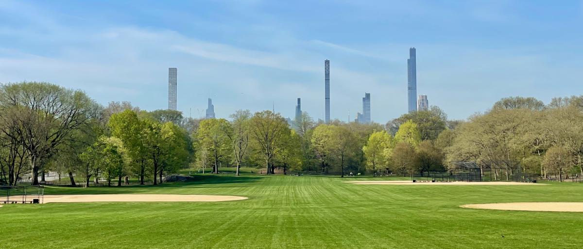 Central Park's lush green lawn with the NYC skyline in the background