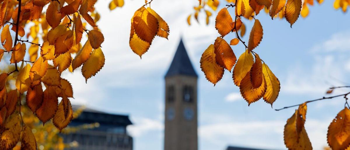 Cornell University's McGraw Tower surrounded by autumn foliage