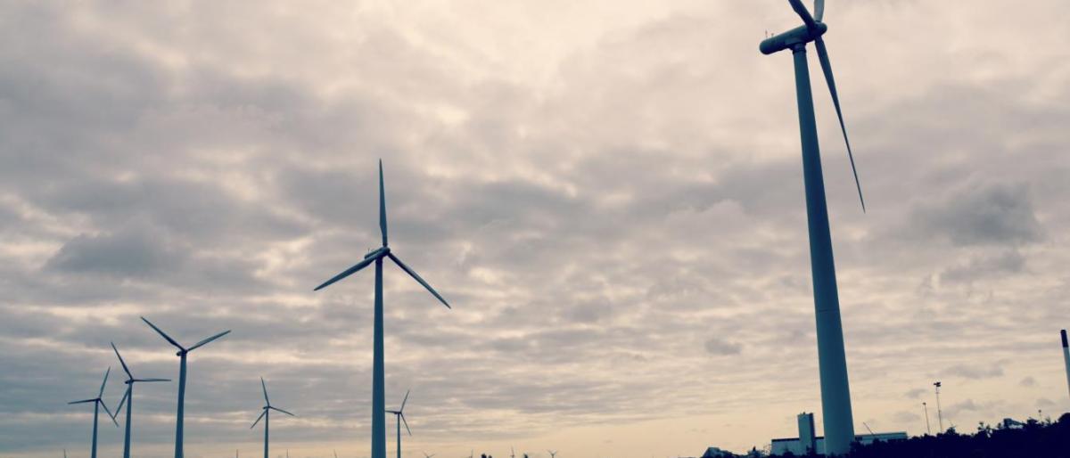 photos of wind farms in Denmark