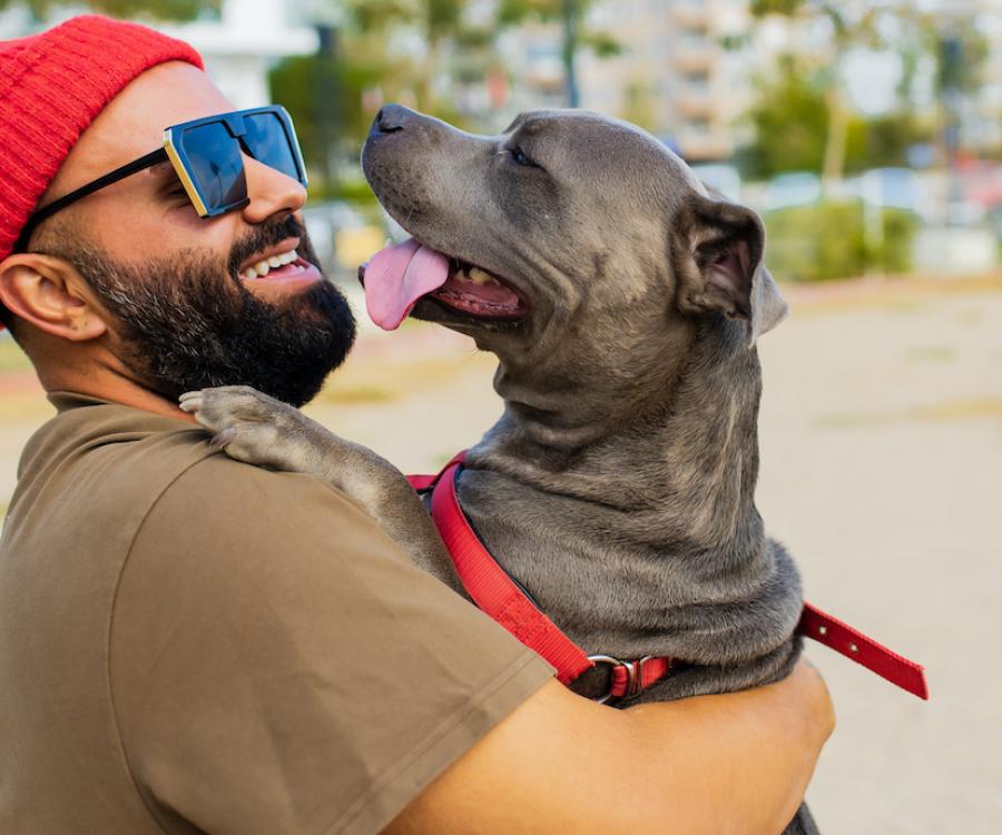 A dog licks its owner's face