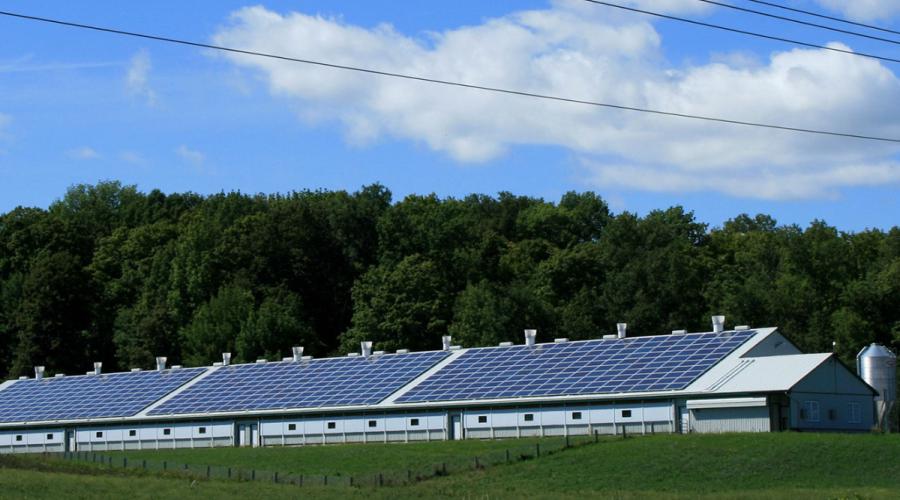 solar panels upstate