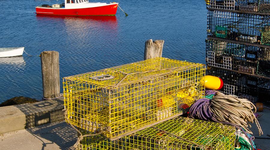 Maine lobster traps on a pier