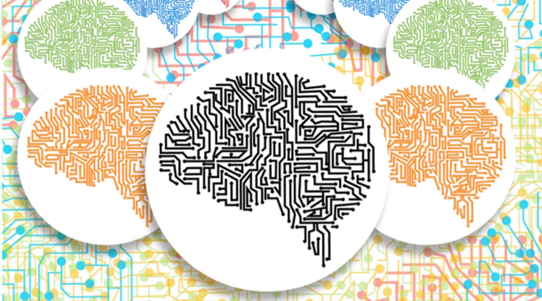 YangTan Institute Part of NSF Project The ILR School