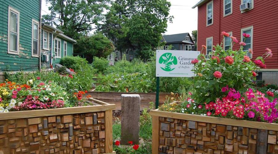 One of Grassroots Gardens lots on Buffalo's West Side