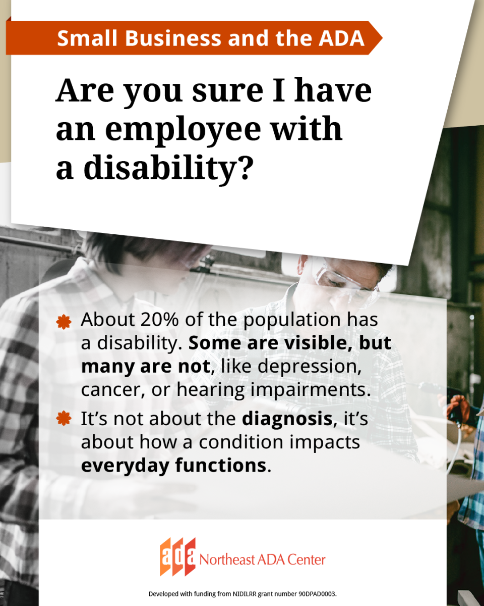 Social media banner with a background image of a workers discussing a printout. The text says: Are you sure I have an employee with a disability? About 20% of the population has a disability. Some are visible, but many are not, like depression, cancer, or hearing impairments. It’s not about the diagnosis, it’s about how a condition impacts everyday functions.