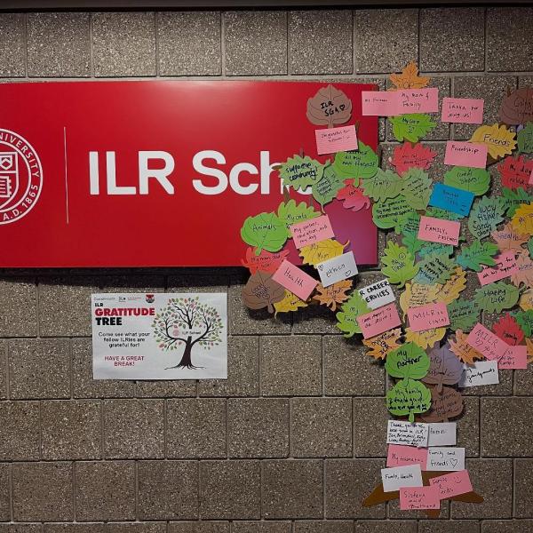 Instagram image for post at https://www.instagram.com/p/DRfrmV6ERlb/