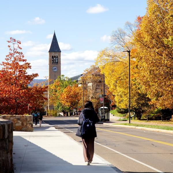 Instagram image for post at https://www.instagram.com/p/DQXWmxkEdma/