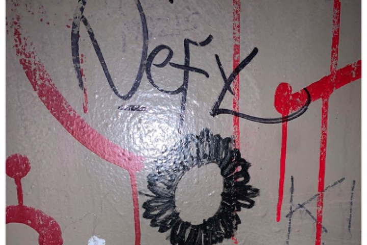 Sunflower extending across a bathroom wall with the word “Defy”