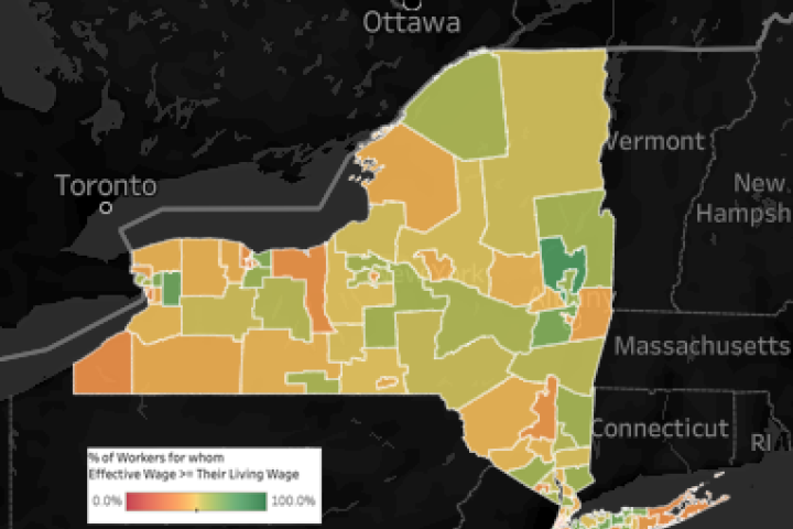 A screen shot of the Cornell ILR Wage Atlas