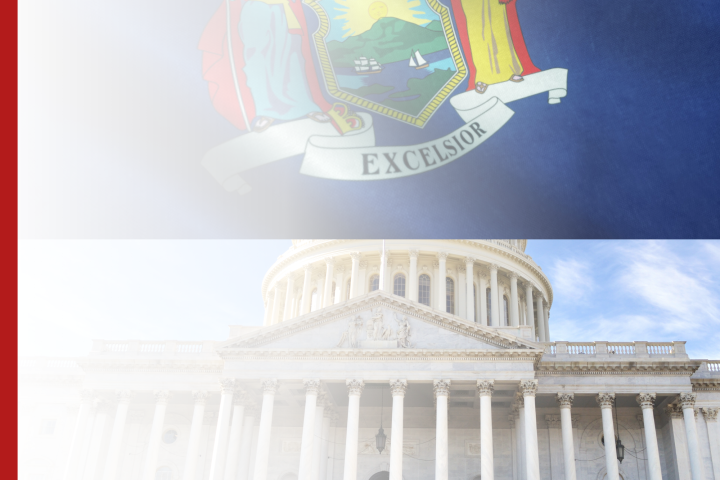 nys flag and federal building