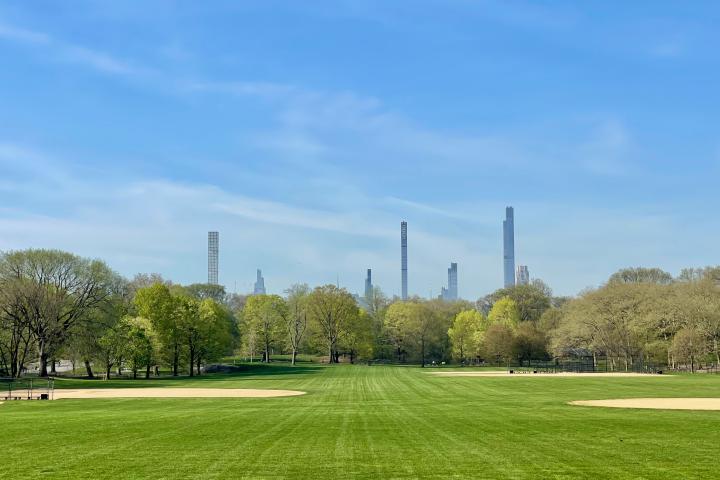 Central Park's lush green lawn with the NYC skyline in the background