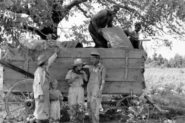 A photo of cotton farmers in Arkansas in 1937, part of a series of photographs by Louise Boyle, who documented the living and working conditions of members of the Southern Tenant Farmers Union.