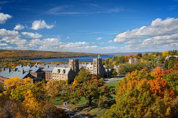 Cornell University