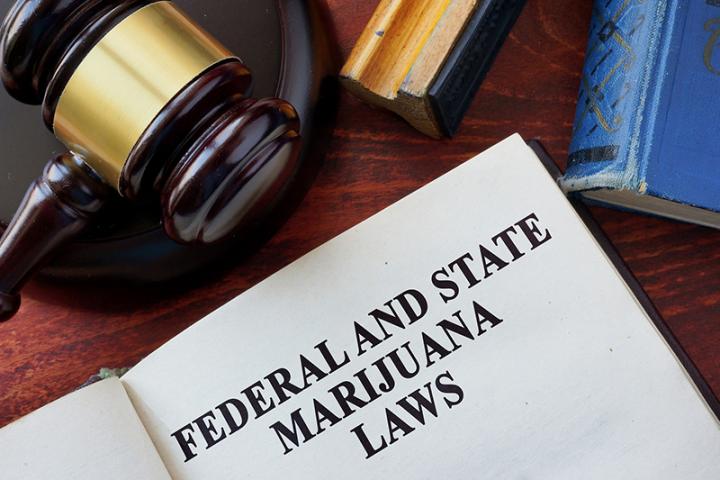 Federal and State Laws
