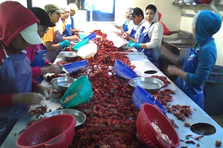 Fish Processing Workers in New Orleans 