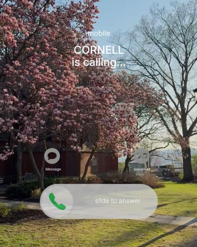Instagram image for post at https://www.instagram.com/p/Dc1YTRYoG9r/
