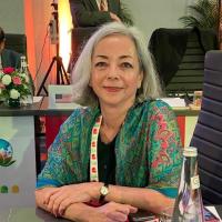 Thea Lee sits in a chair wearing a green and red patterned jacket over a black shirt. She has greay hair, and sits at a table with a sign that says "United States" on it