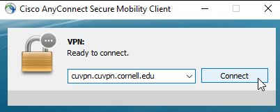 Mac dialog for tselection of VPN network for Cisco AnyConnect VPN connection