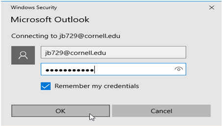Microsoft Outlook login dialog