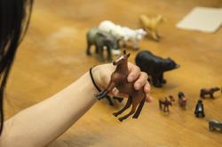 Photo: A person holding a toy horse