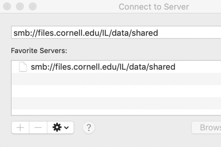 Windows dialog with server selected whose address is smb://files.cornell.edu/IL/data/shared
