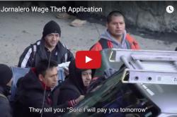 Jornalero Wage Theft App - "They tell you: 'Sure I will pay you tomorrow"