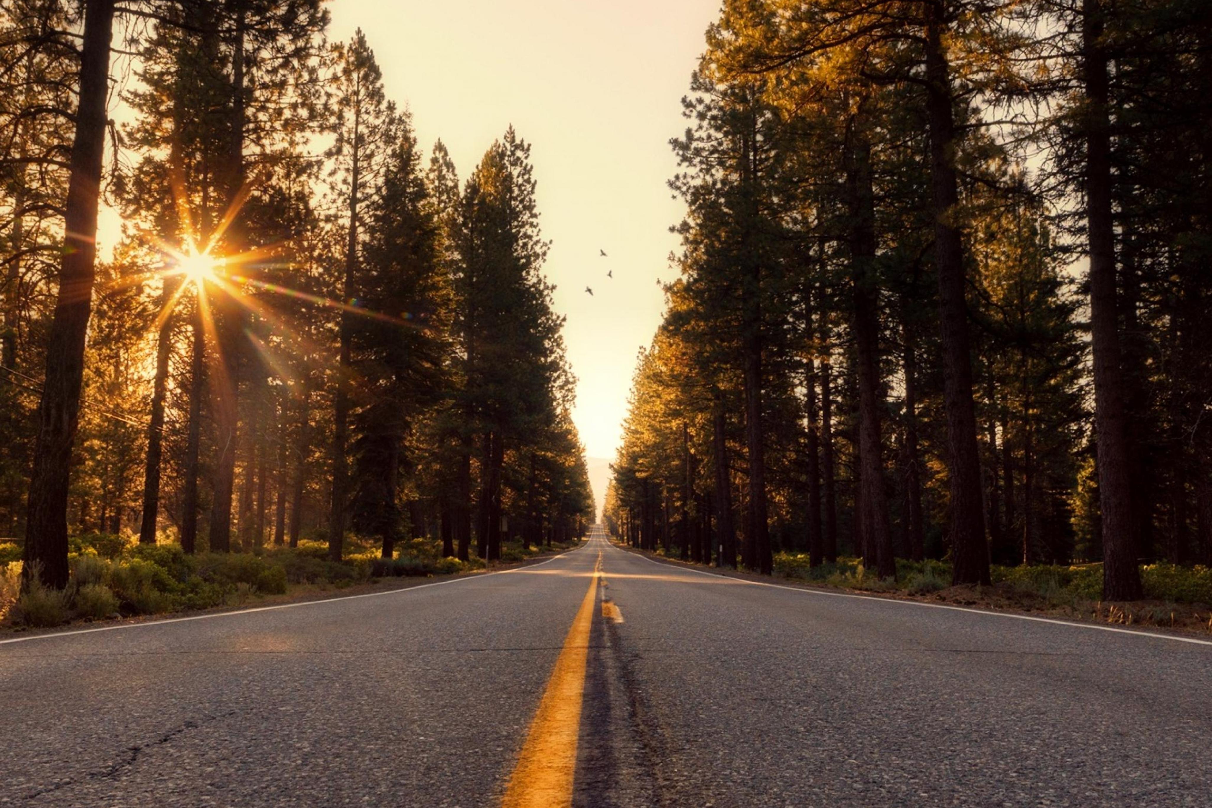 Office of Human Resources The ILR School Cornell University